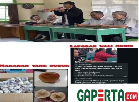 foto slider headline