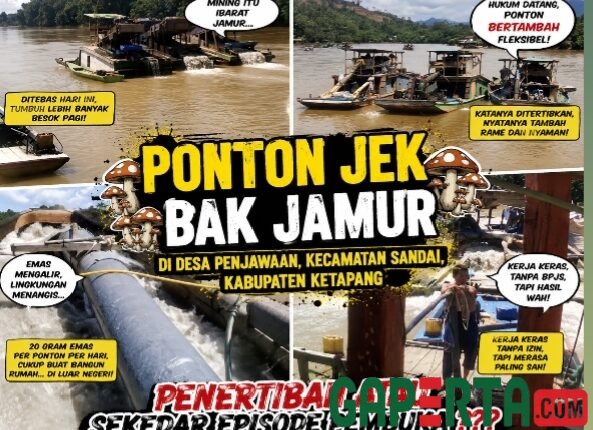 foto slider headline