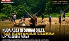 500 Warga Padati Nuba Adat Sungai Silat, Tradisi Leluhur Seberuang Ensilat Jadi Perekat Keberagama